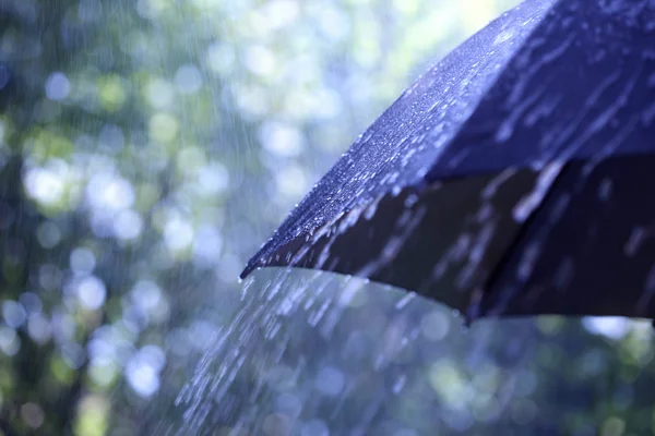Météo actuelle : Journée nuageuse avec des averses éparses à Bukavu