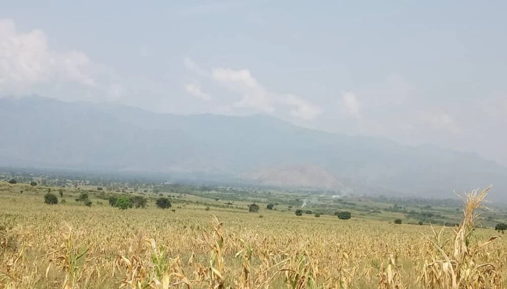 Sud-Kivu : Les agriculteurs de Kabare et Walungu désemparés face à l’absence de pluie