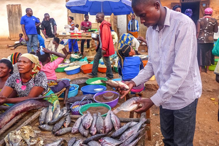 RDC : Les festivités 2025 s’annoncent contrastées