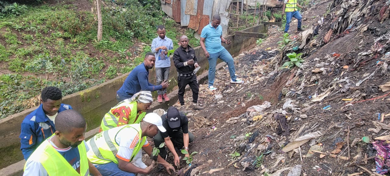 Kadutu : salongo, reboisement… les autorités saluent la mobilisation citoyenne