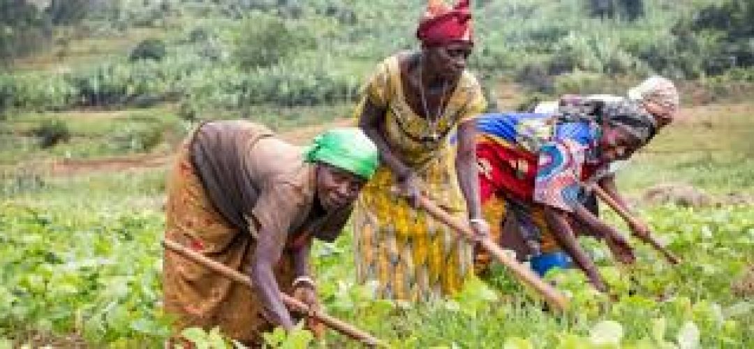 RDC : les femmes rurales, grandes oubliées des politiques publiques