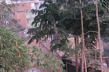 Bukavu : Une fine pluie calme momentanément la poussière