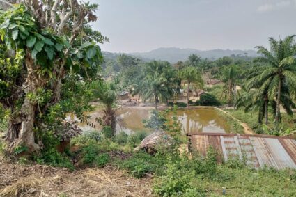 Kalehe : Urgence humanitaire sur l&rsquo;île d&rsquo;Ishovu, entre choléra et malnutrition