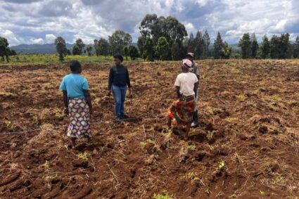 Kalehe : les femmes déplacées privées de leurs champs à Ziralo