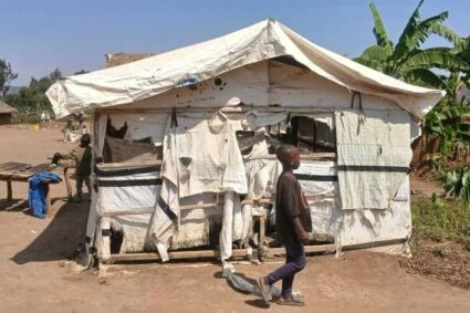 Kalehe : plus de 80% des abris de déplacés dégradés à Katashola